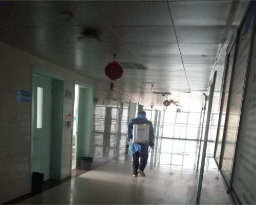 代怀套餐揭秘:包成功供卵方案真伪辨别与详细费用清单