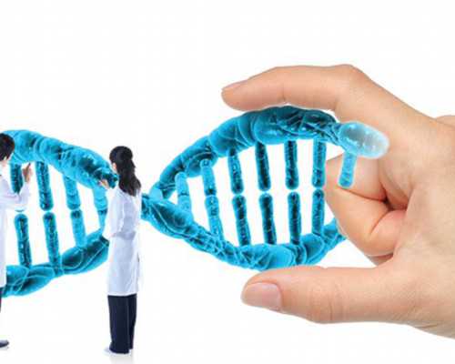 香港基因检测中心有限公司验血准吗,北京哪家医院做试管婴儿好  做试管能鉴定