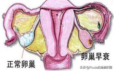 香港验血孕六周的标准是什么,备孕期间老公偶尔少量喝酒可以吗