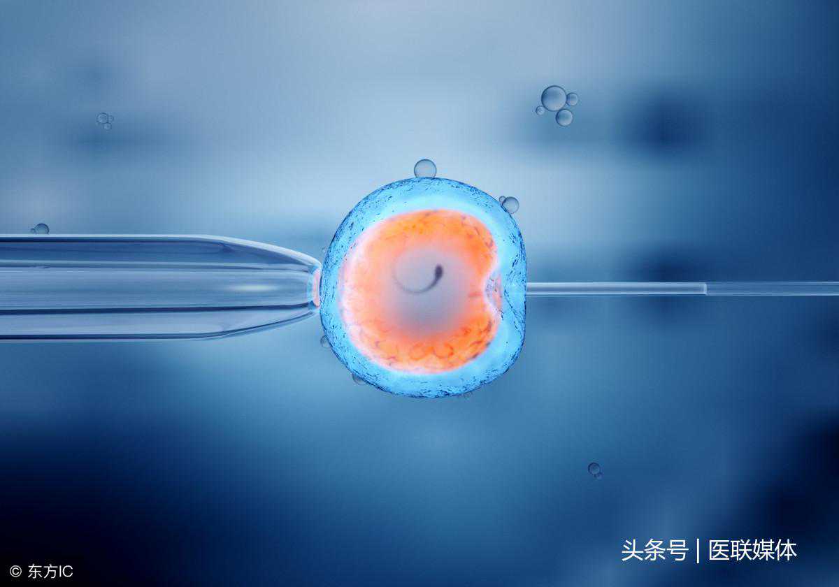 怀孕三个月后还能香港验血吗,29岁卵巢早衰可以做试管婴儿吗？会不会出现一直