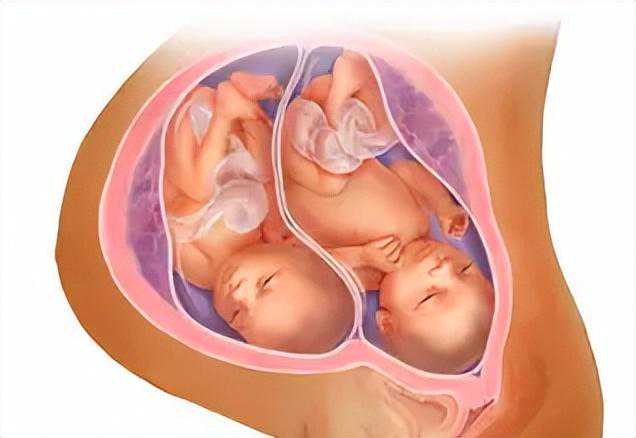 香港验血男宝 b超两次男宝,试管双胎成功生产经验_bnh试管婴儿健康吗？