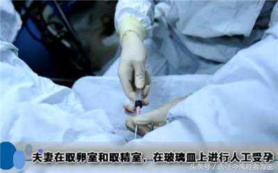 生化后一个月怀孕去香港验血会影响结果吗,记录试管婴儿全过程（附图）不孕