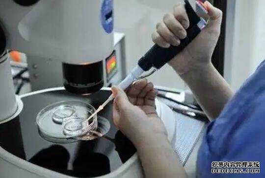 香港验血测男女多少天_唐筛和无创DNA检测这些区别你知道吗？