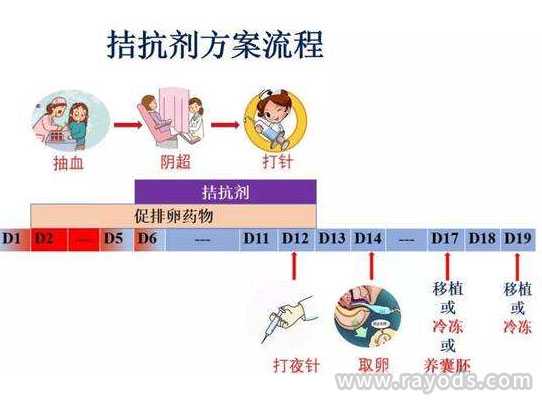 怀孕多少周可以到香港验血,做试管婴儿长方案和短方案，哪种促排的卵子质量